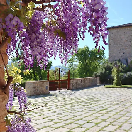 Farmház Castello Di Viano