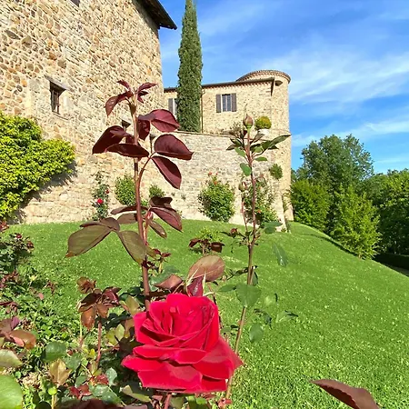 Фермерский дом Castello Di *