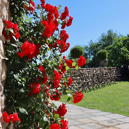 Castello Di Farm stay