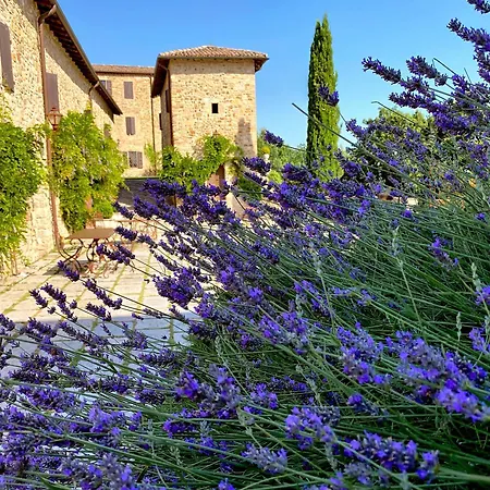 Фермерский дом Castello Di *