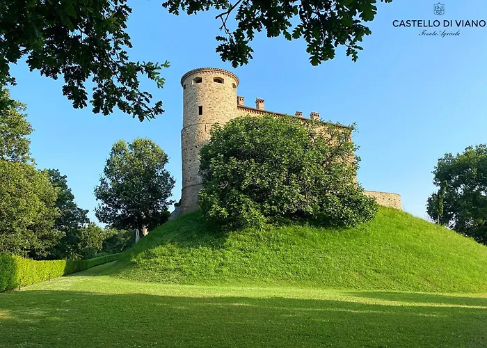 Lantgård Castello Di Viano