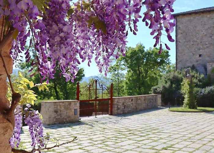 Lantgård Castello Di Viano