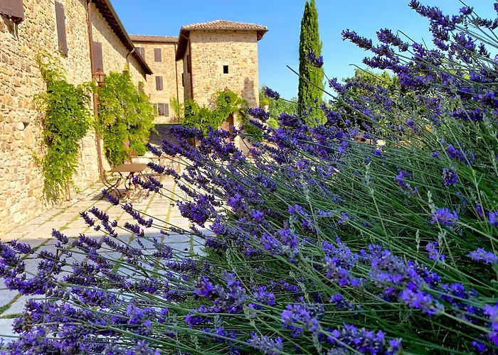 Κατάλυμα σε φάρμα Castello Di *